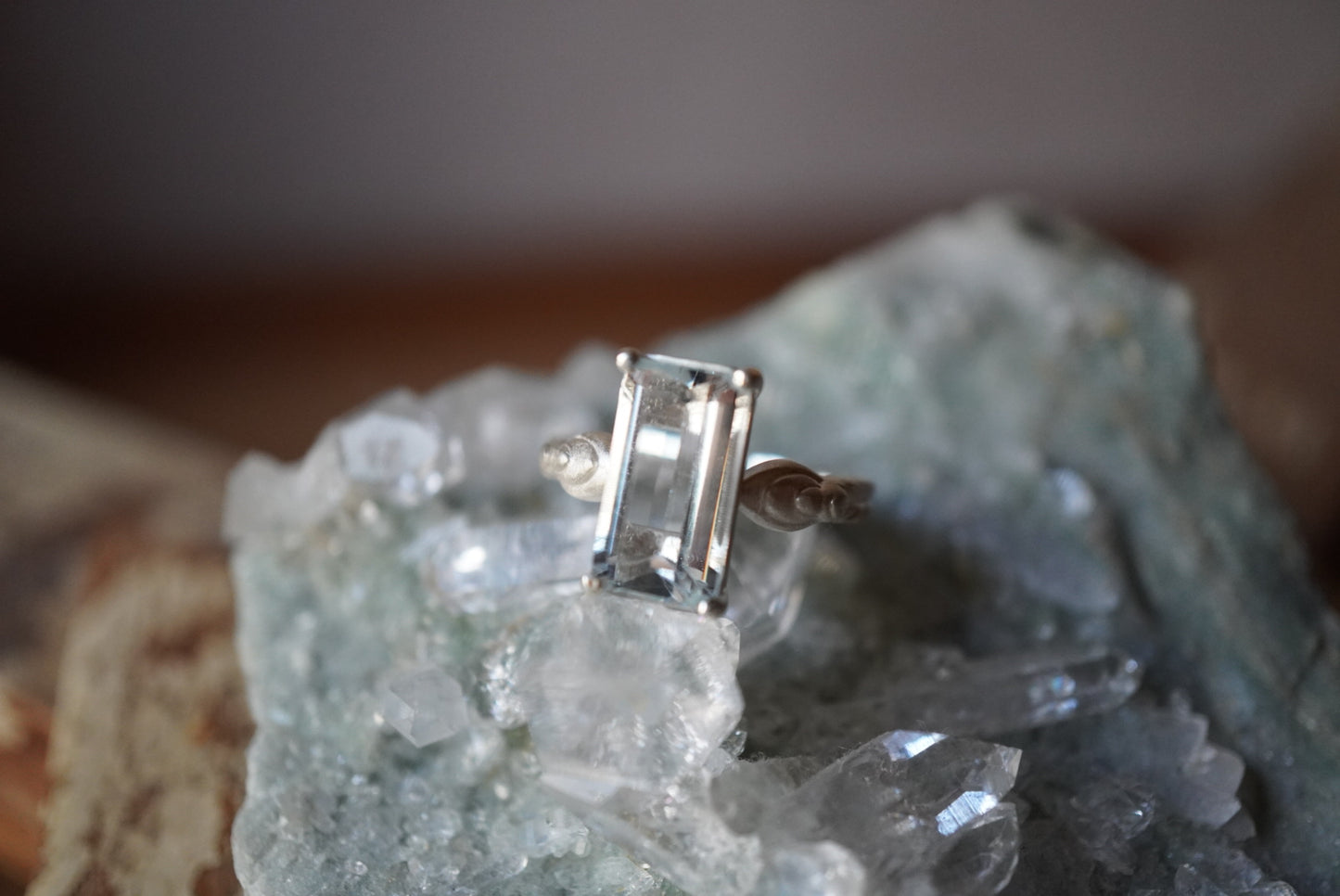 銀の指環『氷原』