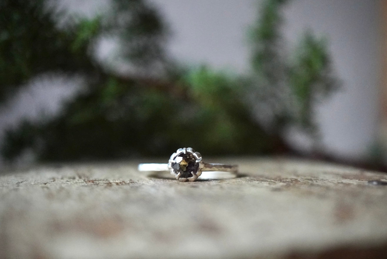 銀の指環『Sepia Dream』