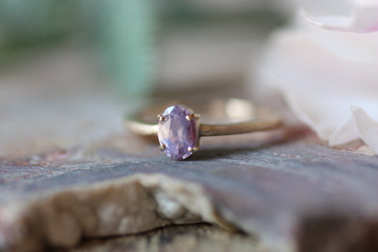 金の指環『朝紫』