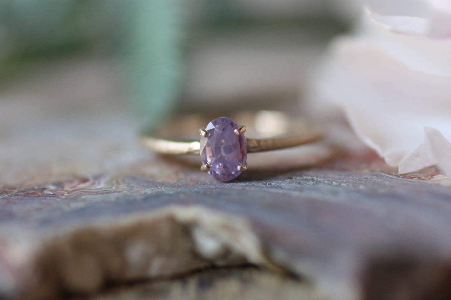 金の指環『朝紫』